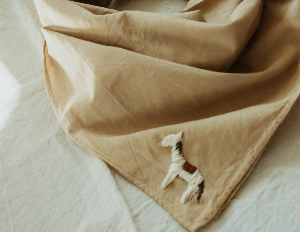 A little horse - hand embroidered bandana