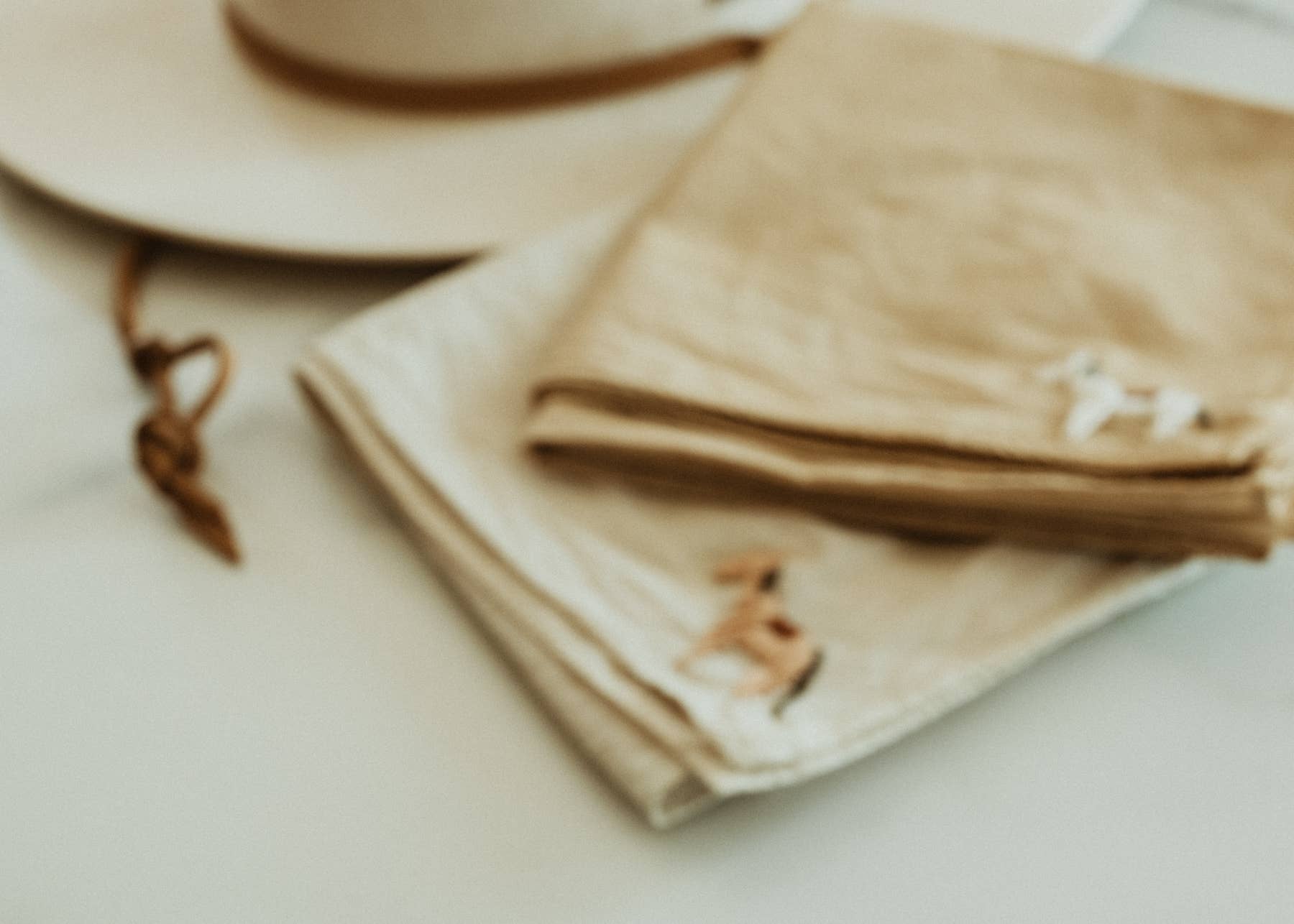 A little horse - hand embroidered bandana